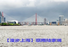 【漫步上海】烟雨陆家嘴