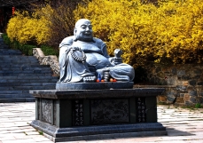 【烟台塔山】春萌2025