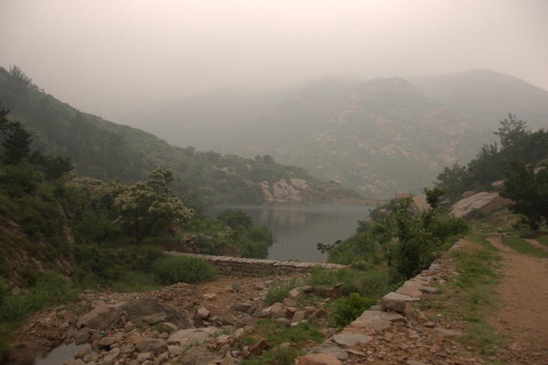 dsc_0001_conew1.jpg