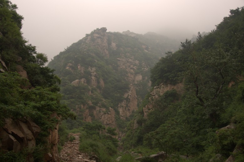 dsc_0073_conew1.jpg
