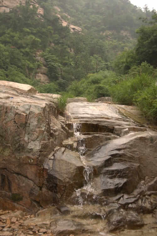 dsc_0253_conew1.jpg