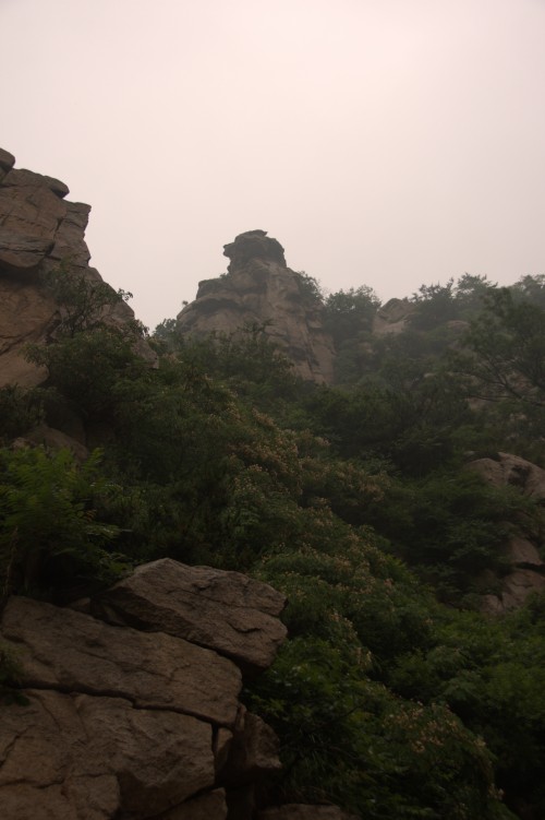 dsc_0264_conew1.jpg