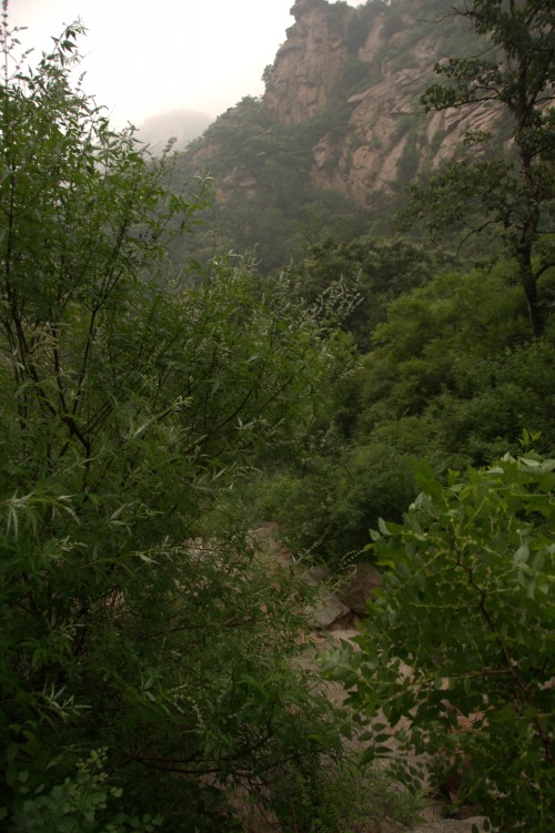 dsc_0336_conew1.jpg