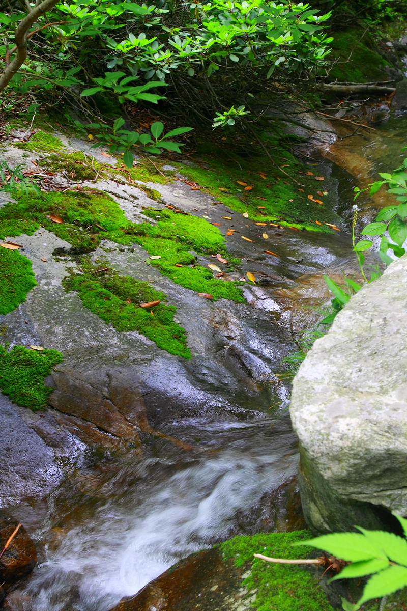 IMG_3670.jpg
