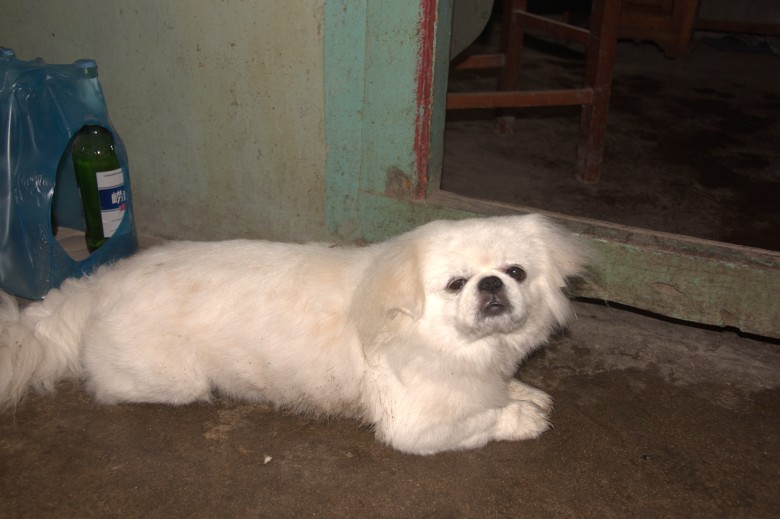 dsc_0455_conew1.jpg