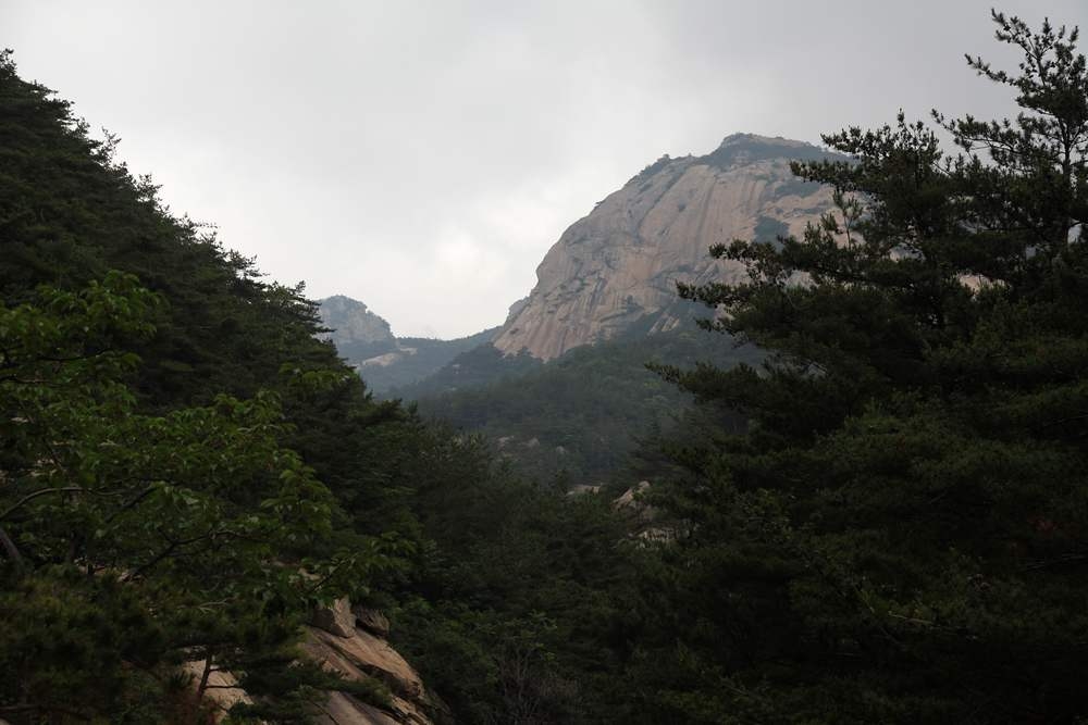 无染寺 022.jpg