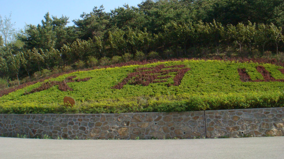 nEO_IMG_DSC03232.jpg
