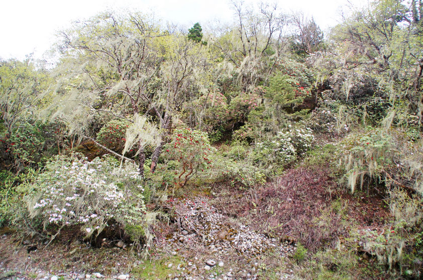 DSC01337.JPG