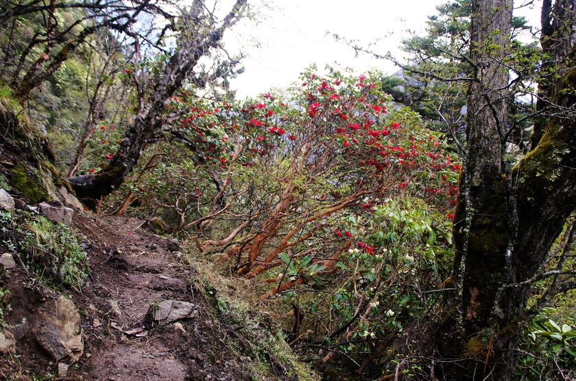 DSC01338.JPG