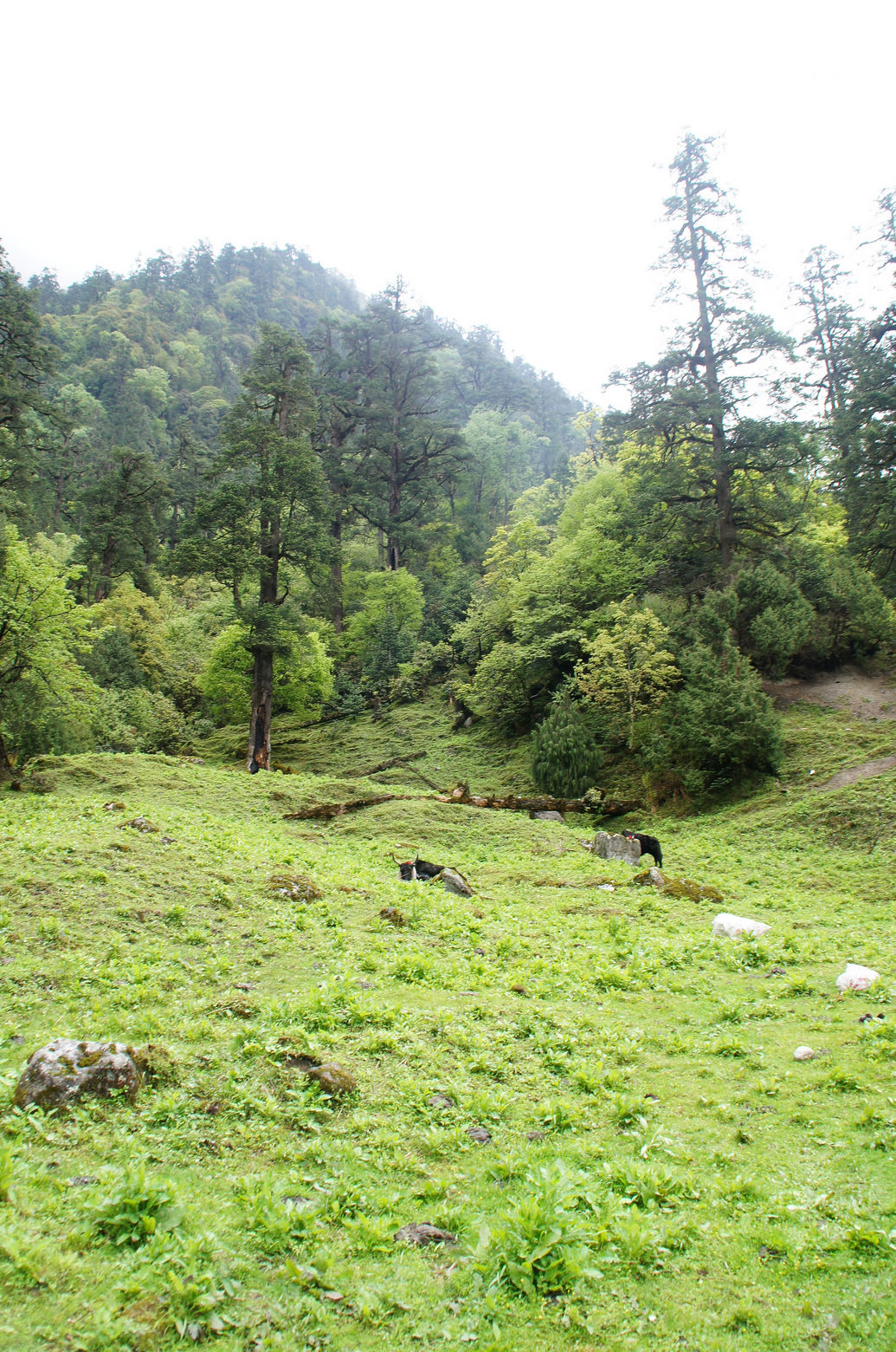 DSC01457.JPG