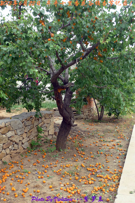 166.jpg