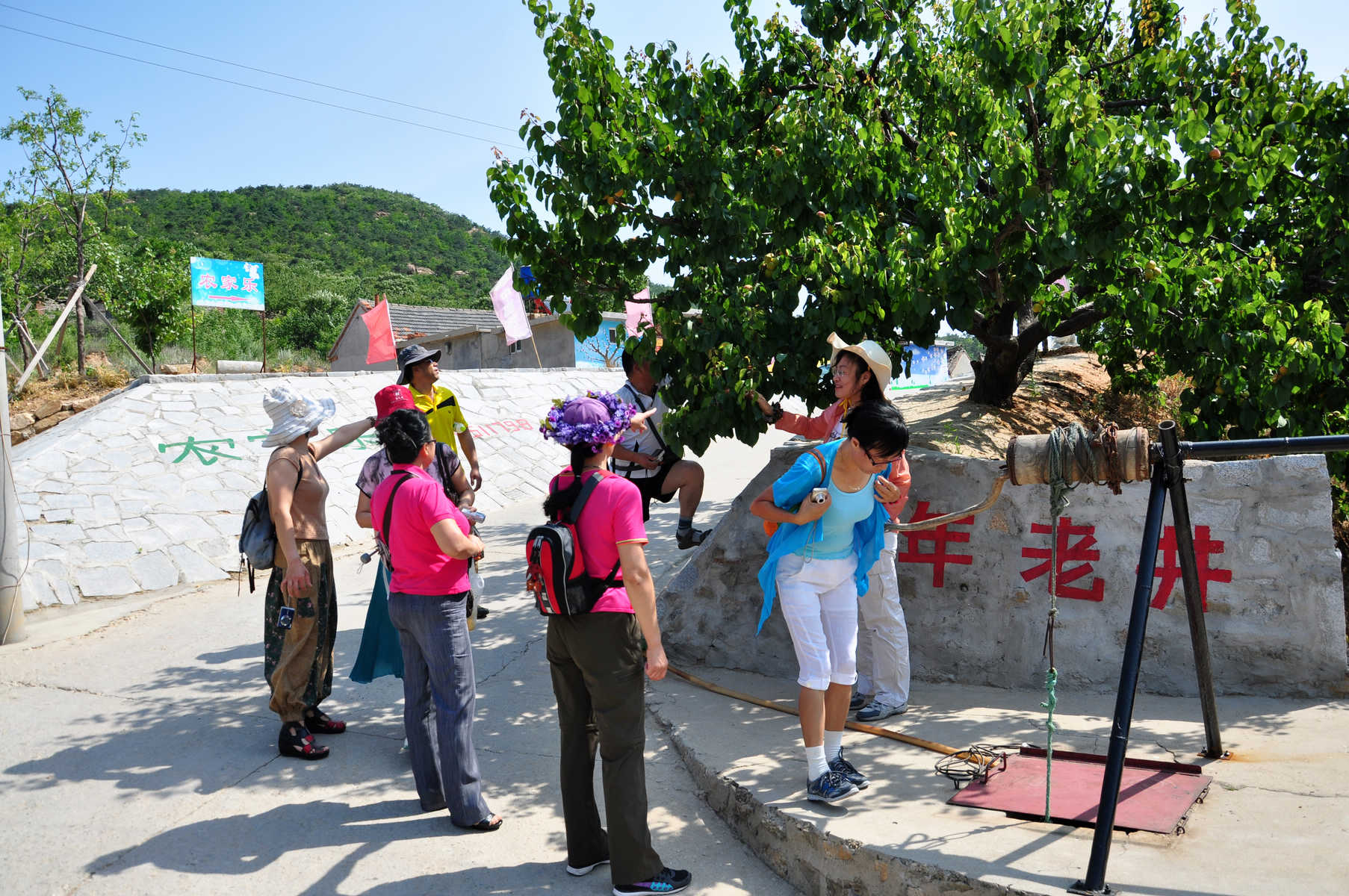 nEO_IMG_DSC_0276.jpg