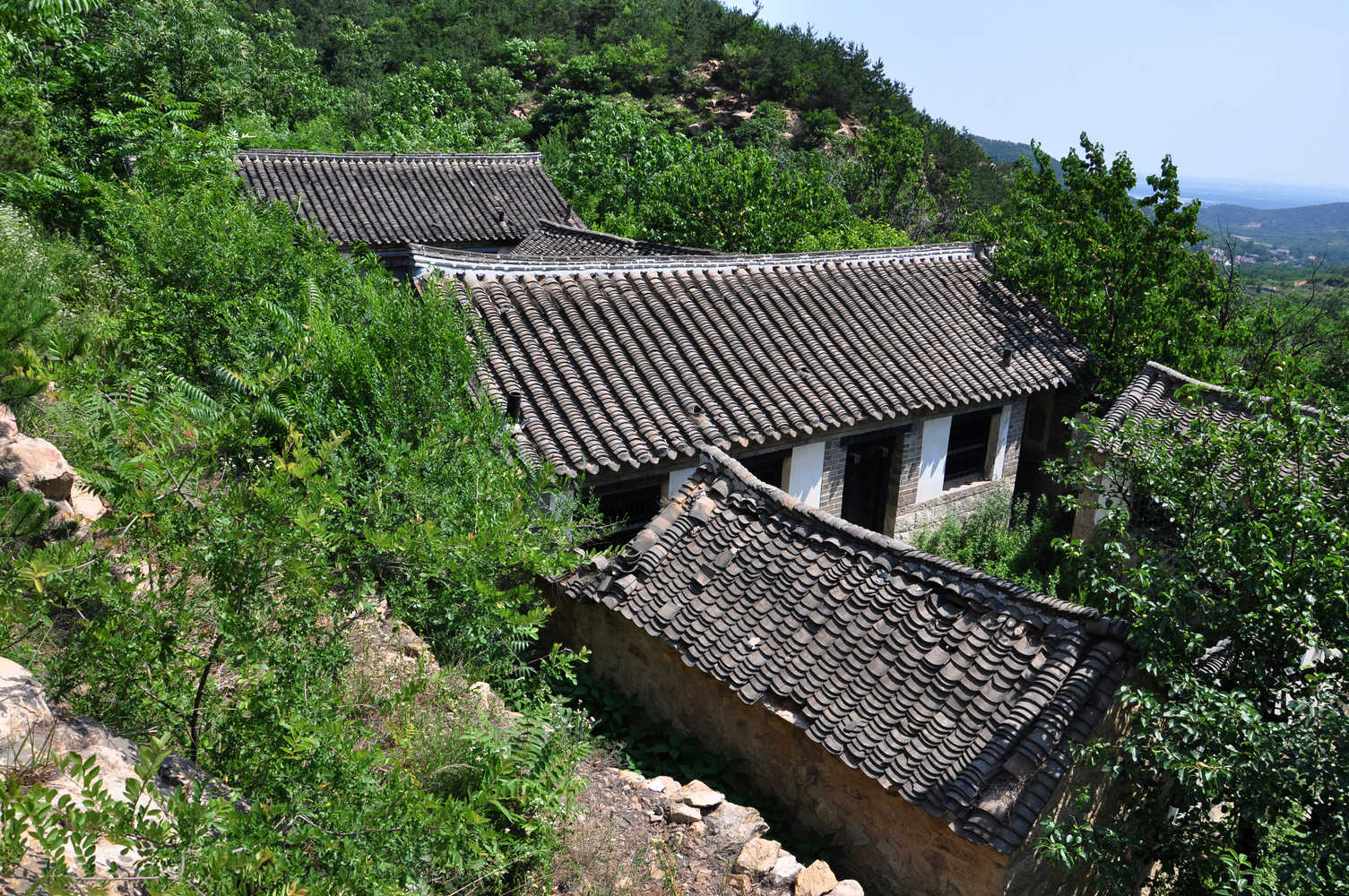 nEO_IMG_DSC_0307.jpg