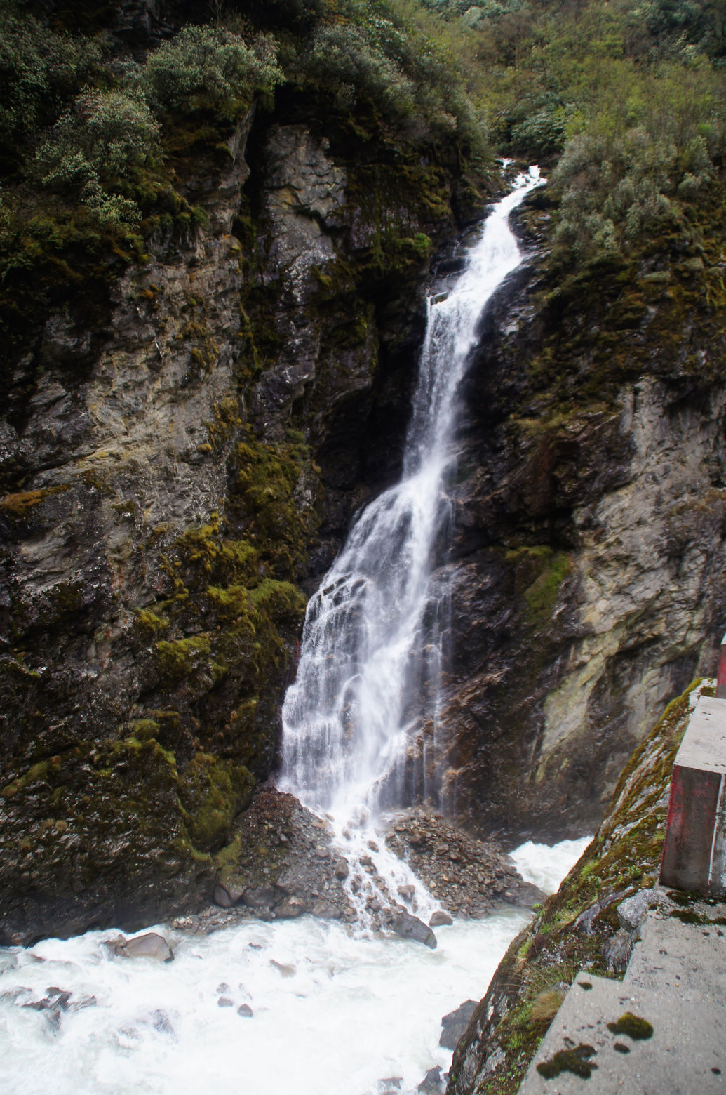 DSC01586.JPG
