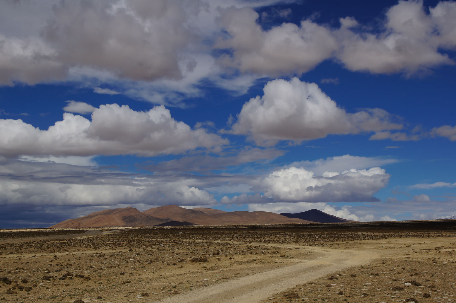DSC01636.JPG