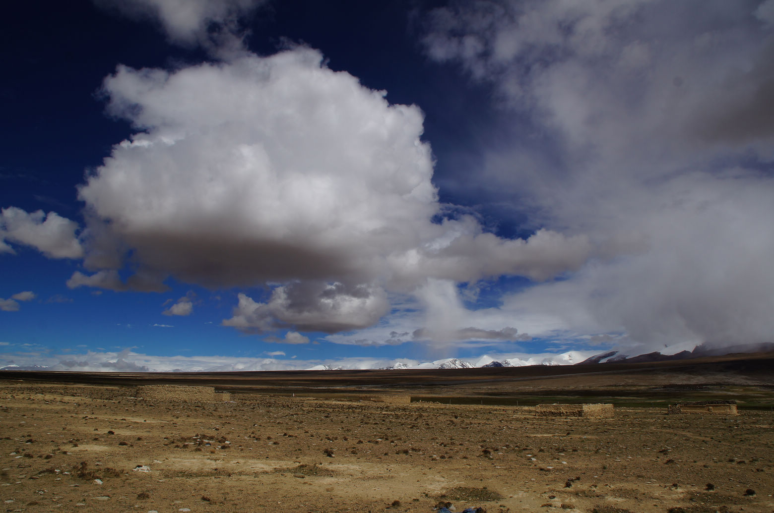 DSC01637.JPG