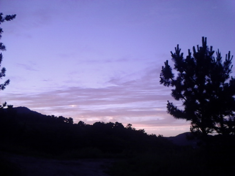 IMG_20130702_191915.jpg