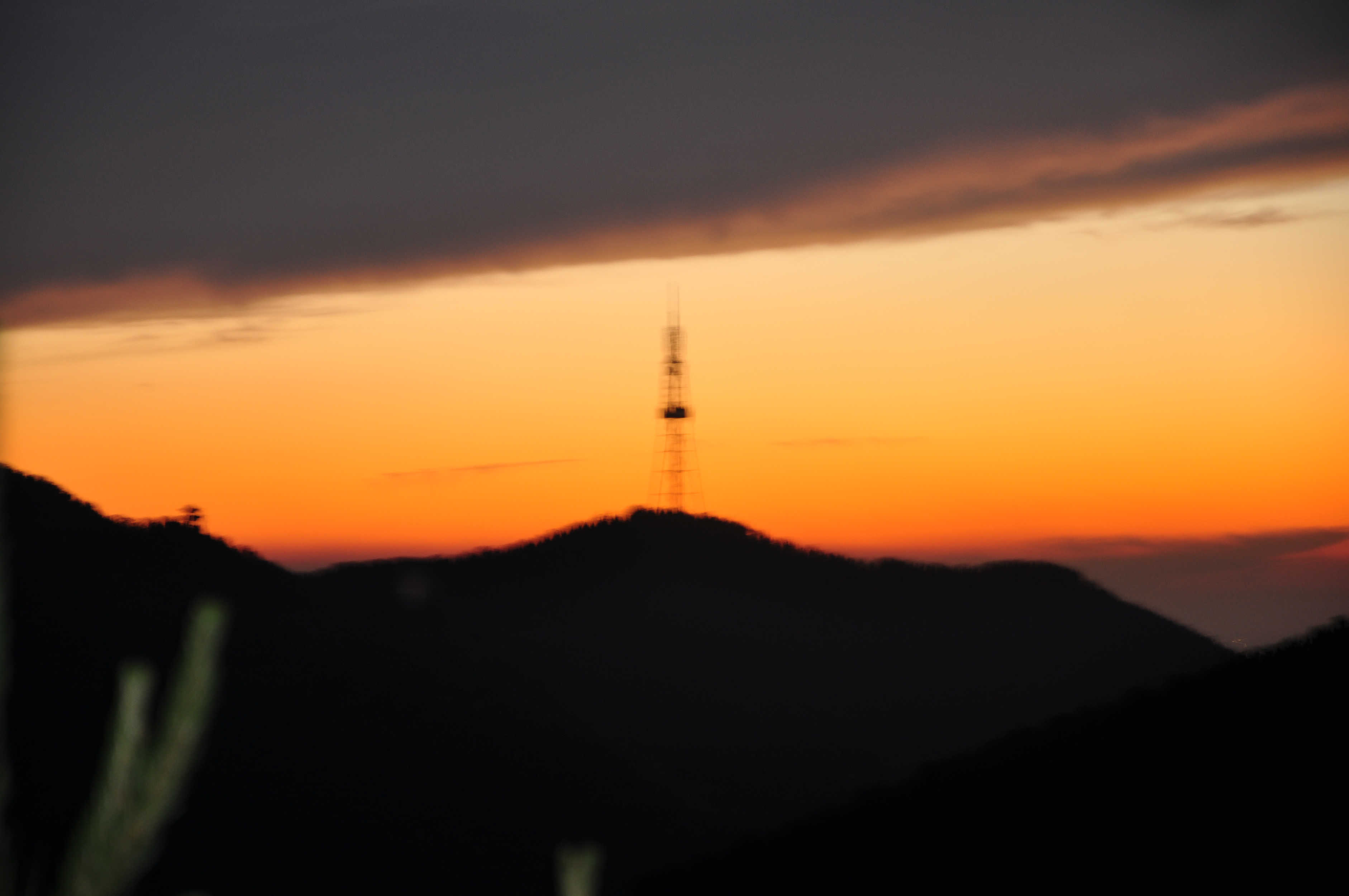 nEO_IMG_DSC_0509.jpg