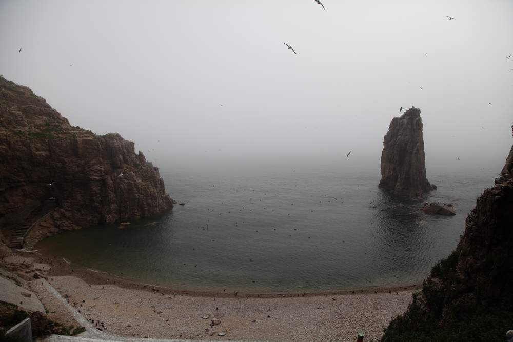 海驴岛 509.jpg