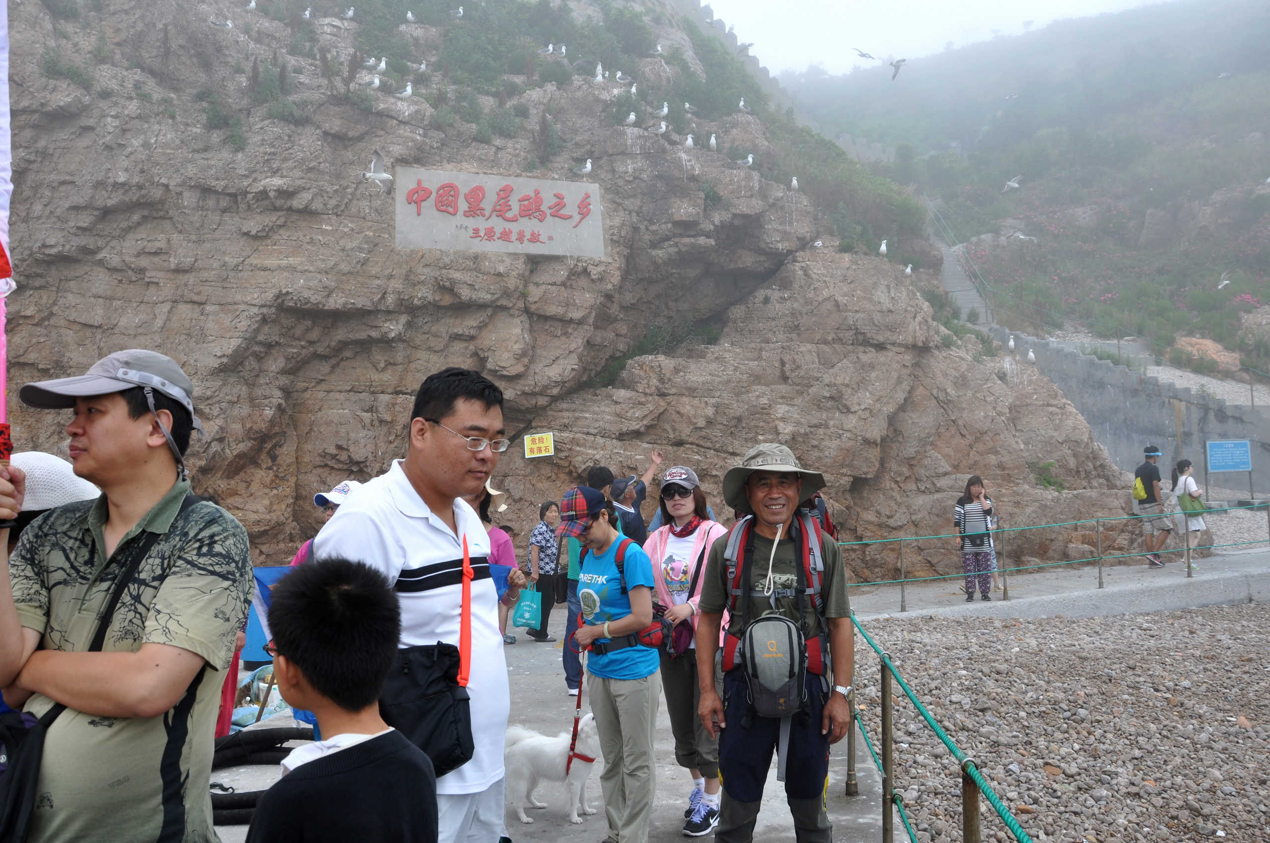 nEO_IMG_DSC_0782.jpg