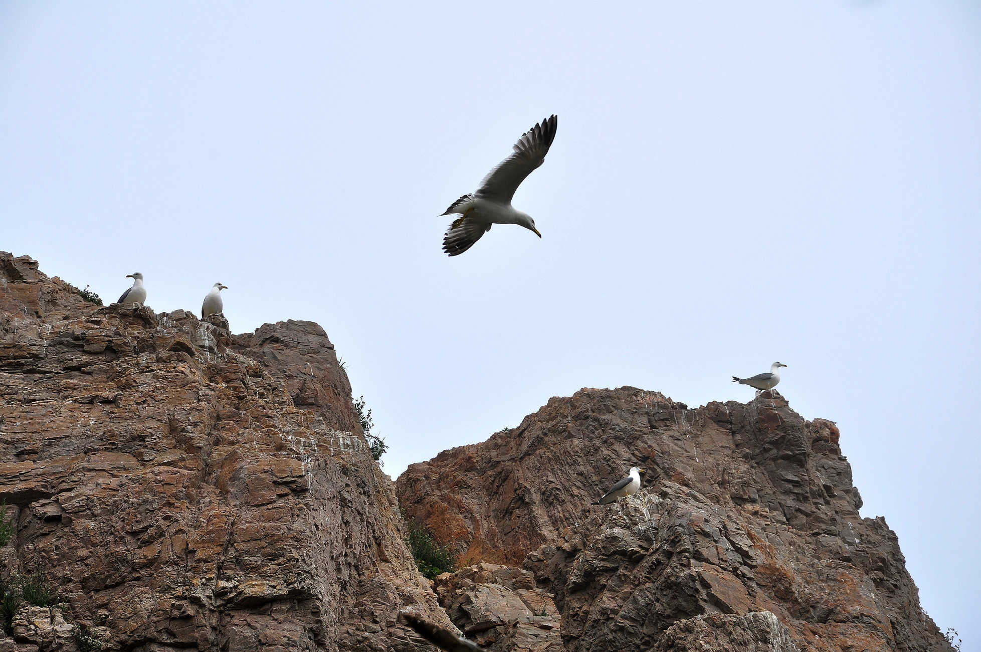 nEO_IMG_DSC_0894.jpg