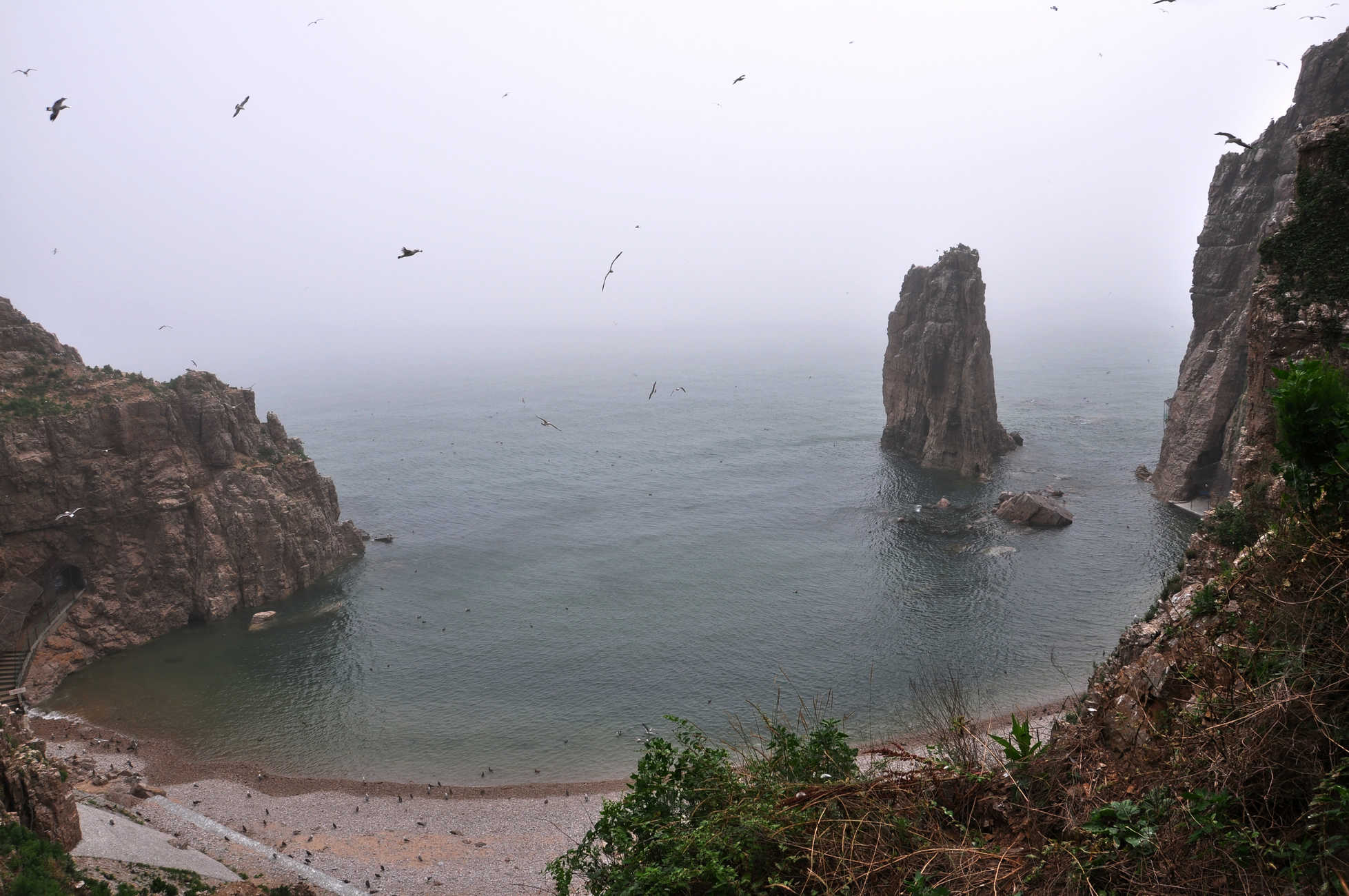 nEO_IMG_DSC_0909.jpg