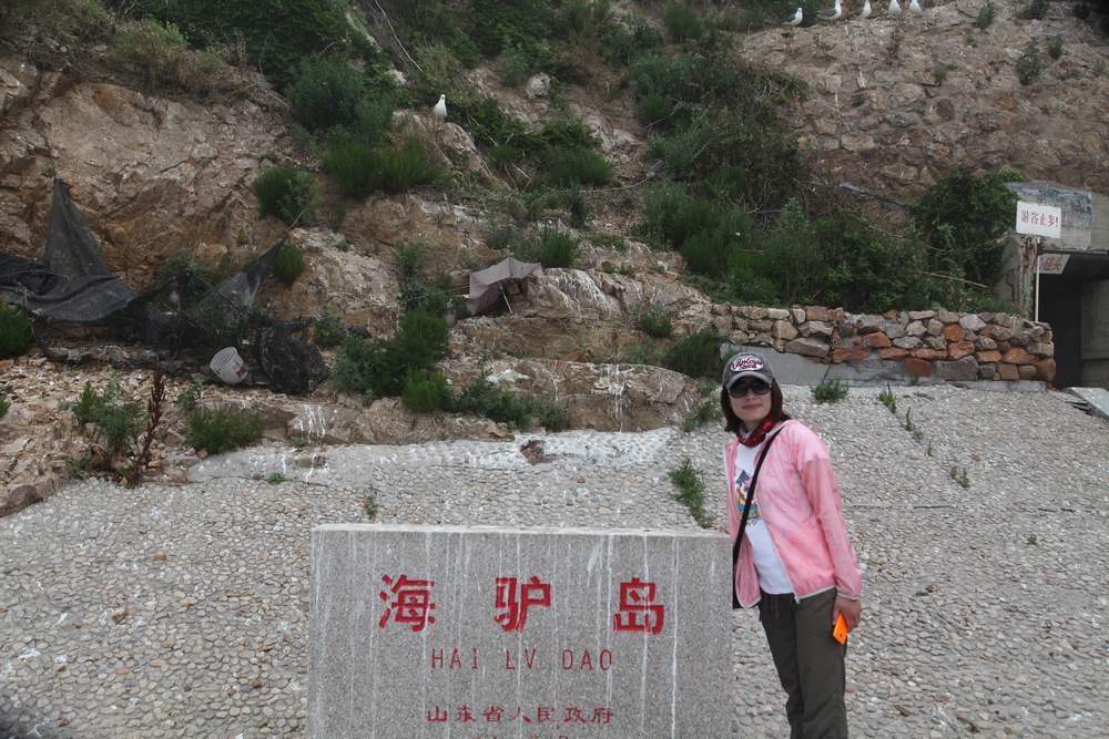 海驴岛 350.jpg