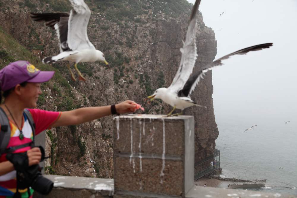 海驴岛 840.jpg