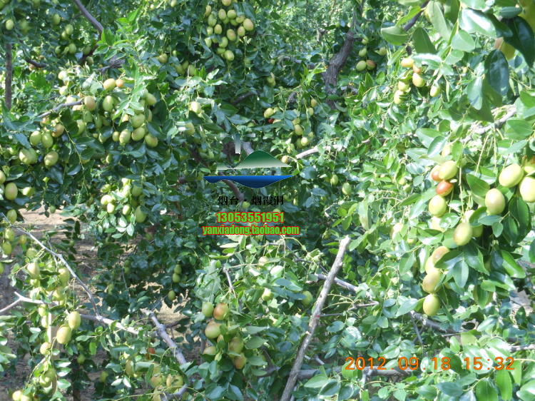 DSCN1396.jpg