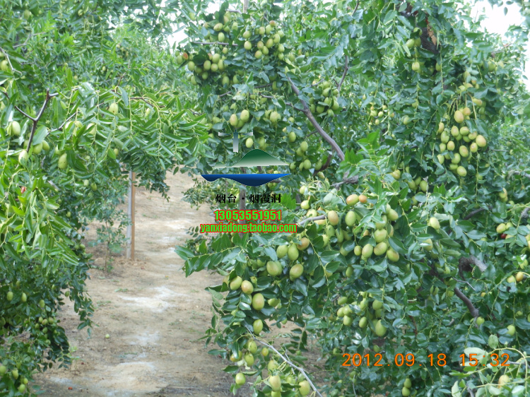 DSCN1397.jpg