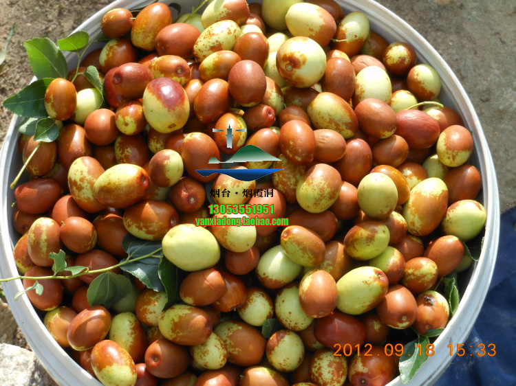 DSCN1398.jpg