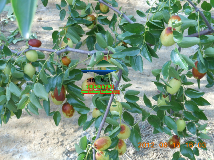 DSCN1401.jpg
