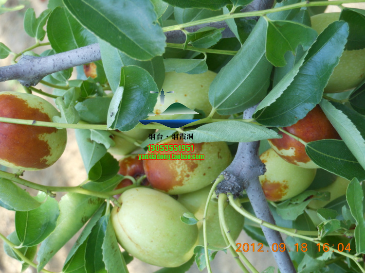 DSCN1404.jpg