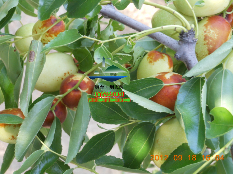 DSCN1405.jpg