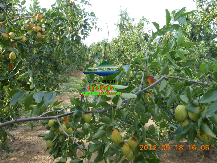DSCN1406.jpg