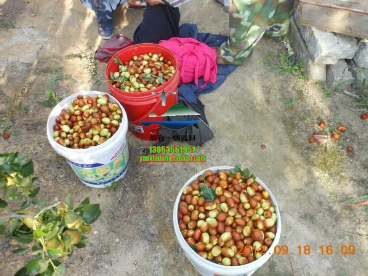 DSCN1409.jpg