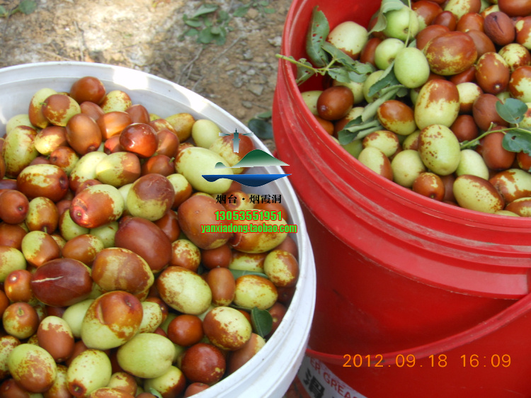 DSCN1410.jpg