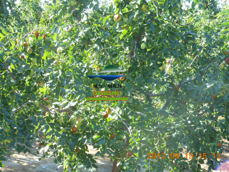 DSCN1419.jpg