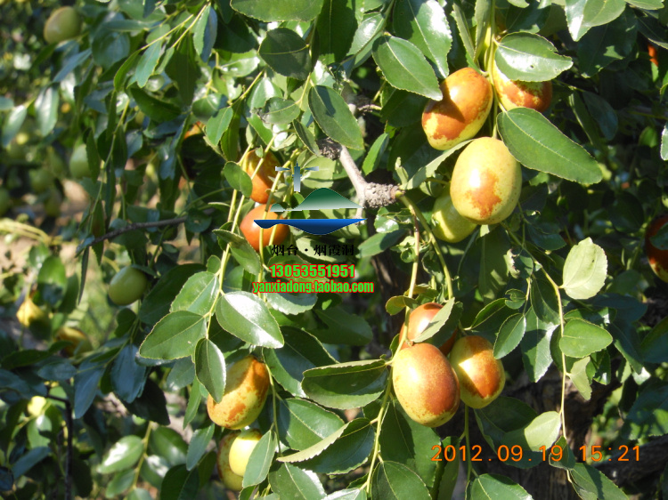 DSCN1426.jpg