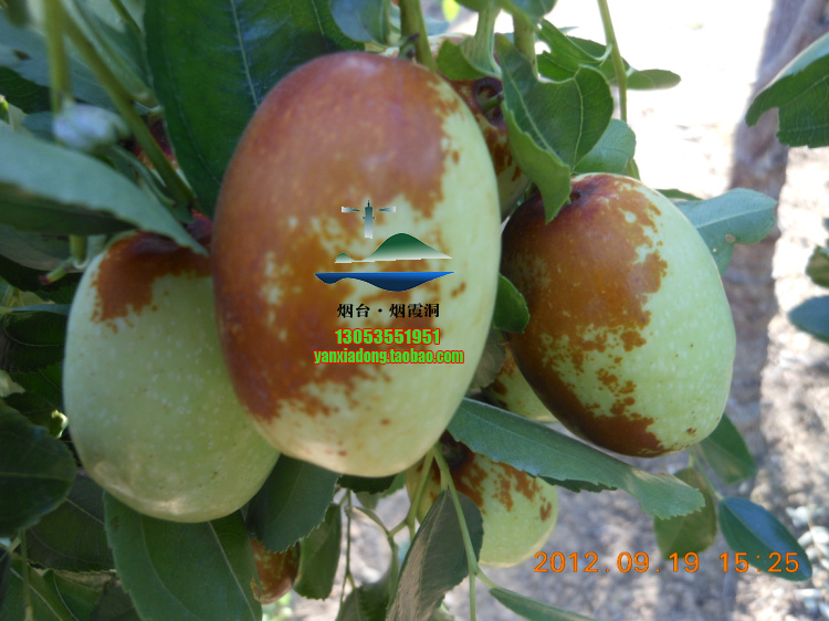DSCN1433.jpg