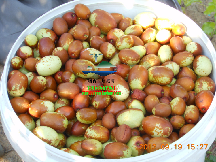 DSCN1436.jpg