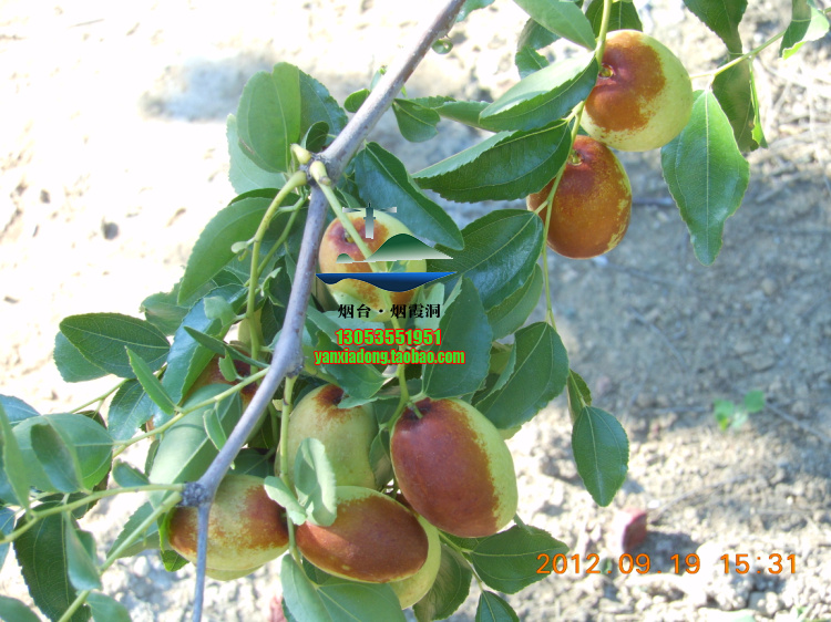 DSCN1437.jpg