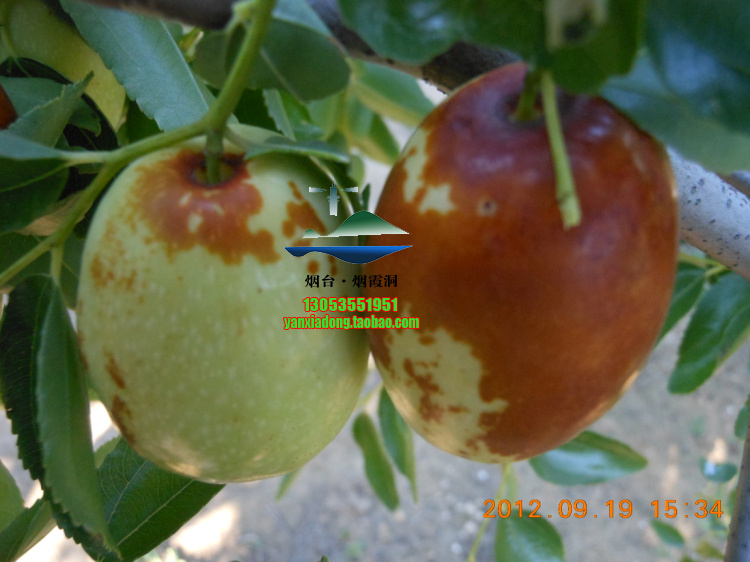 DSCN1440.jpg