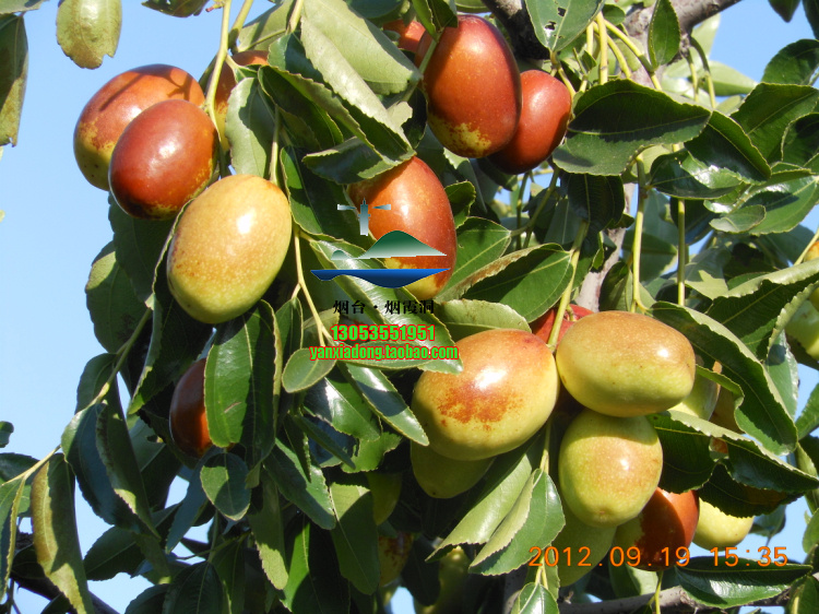 DSCN1442.jpg