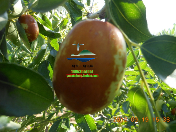DSCN1445.jpg
