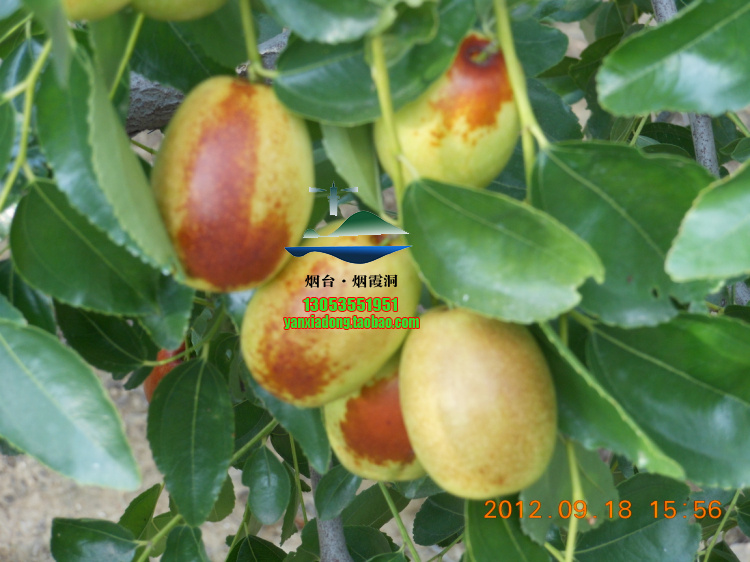 照片 226.jpg