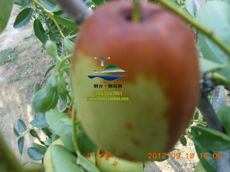 照片 235.jpg