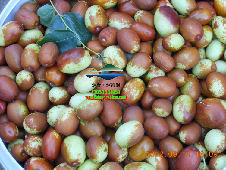 照片 238.jpg