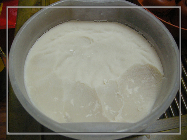 DSCN0994.jpg