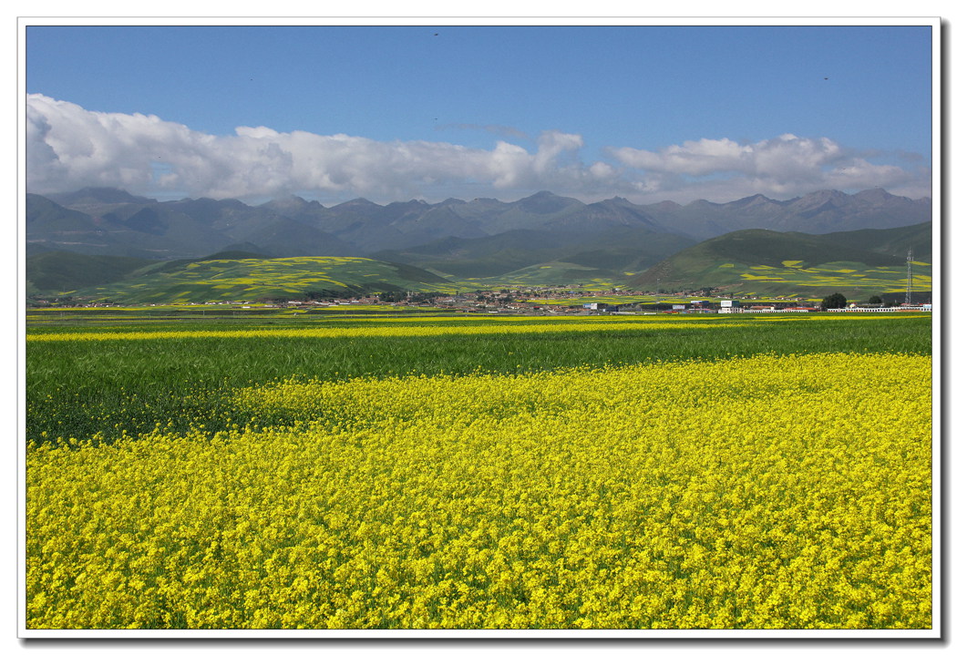 IMG_0129_副本.jpg